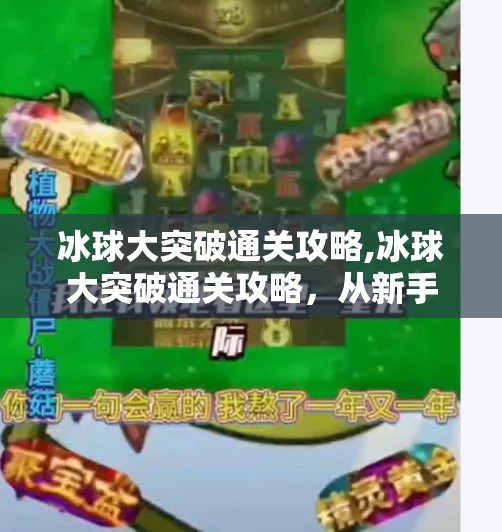 冰球大突破通关攻略,冰球大突破通关攻略，从新手到高手的全路径指南