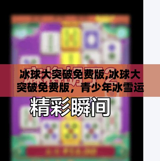 冰球突破豪华版模拟器 第4页